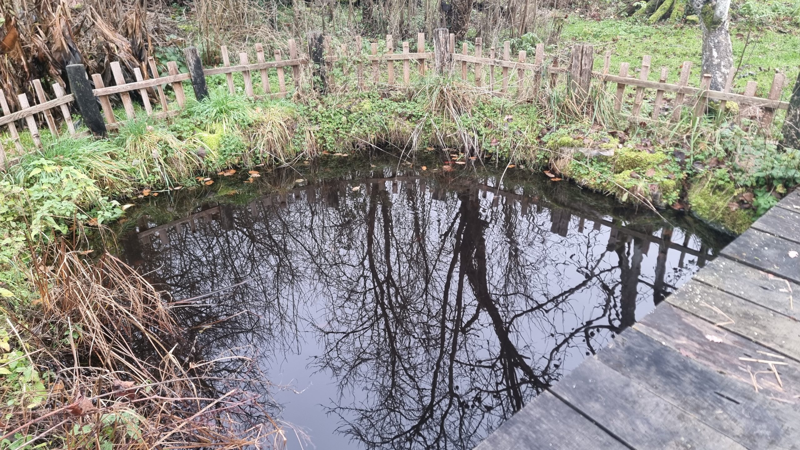 Réalisation permaculture