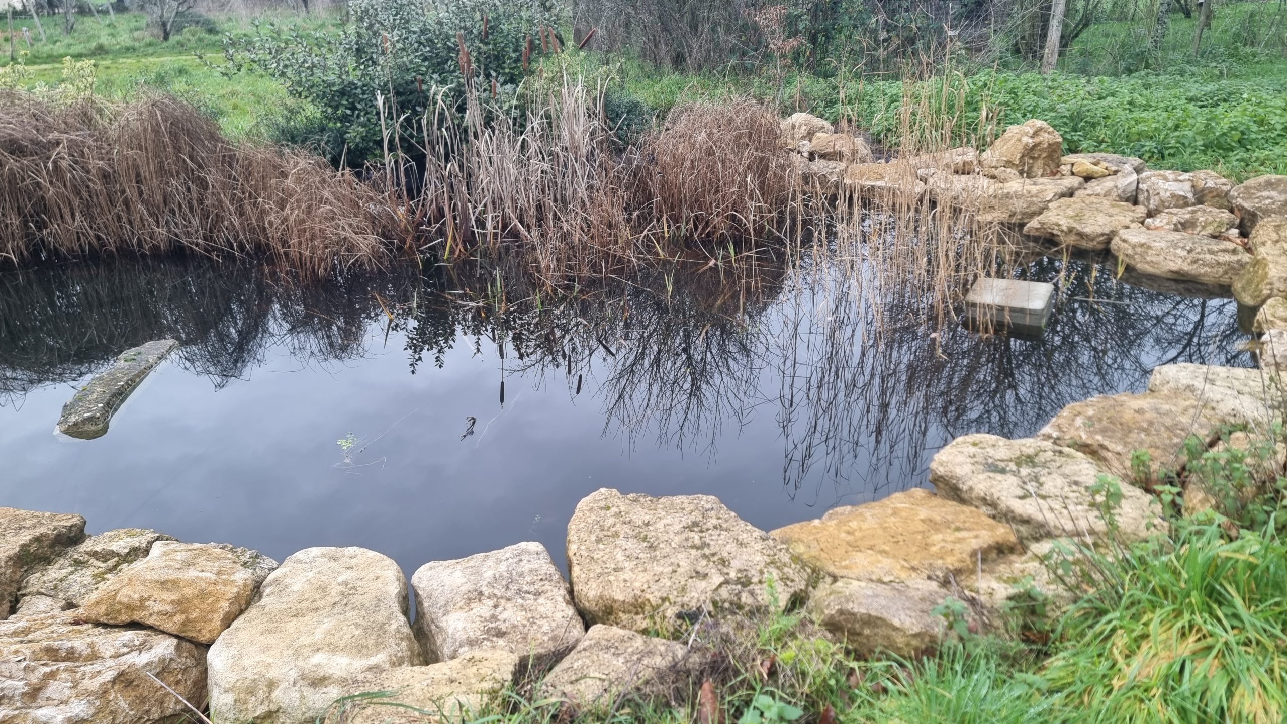 Conception permaculturelle