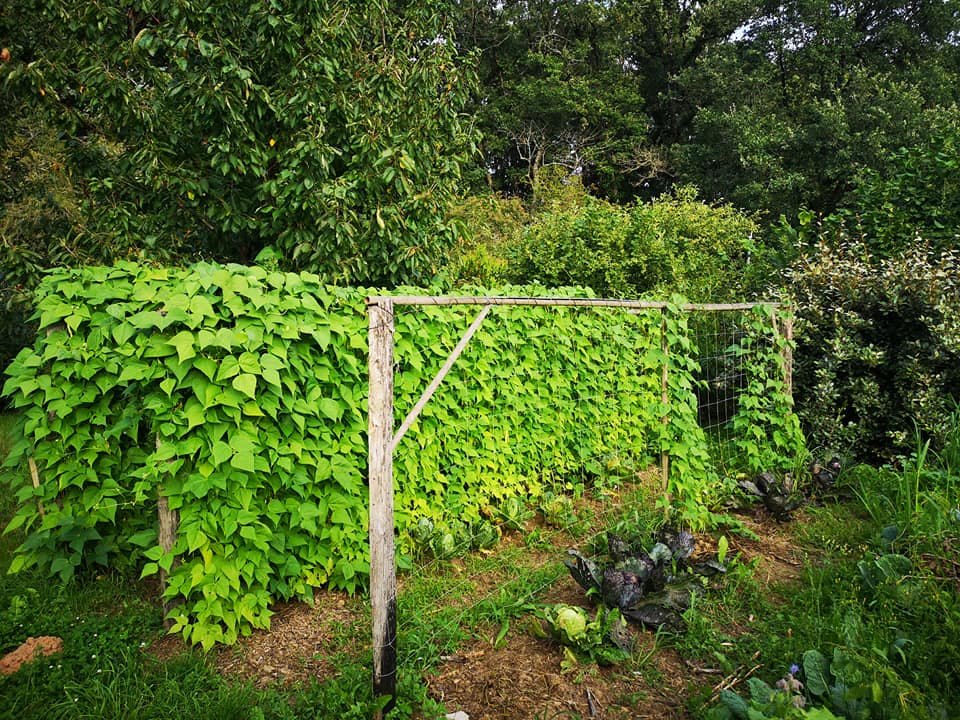 Stage sur mesure permaculture